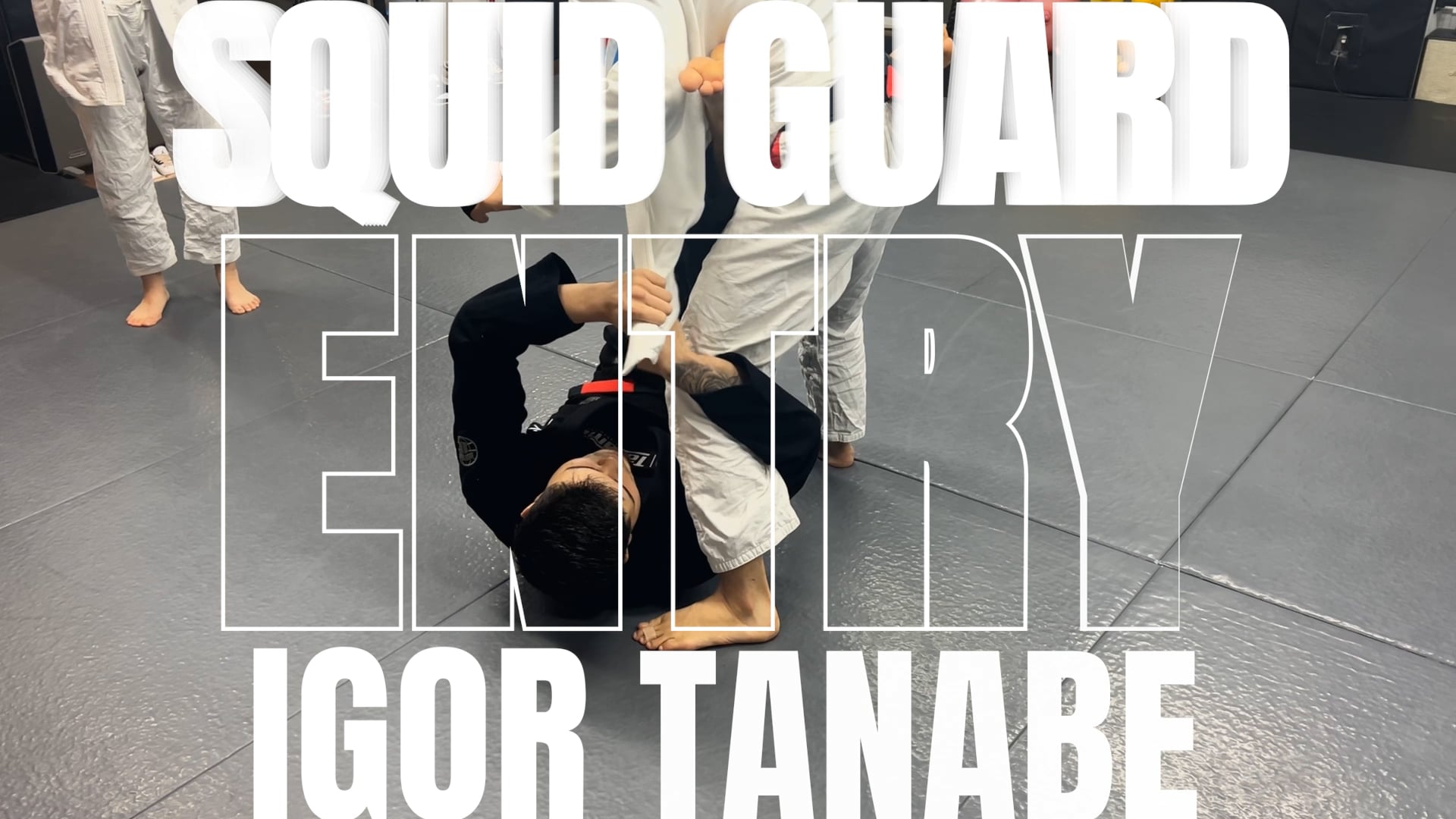 SQUID GUARD ENTRY/IGOR TANABE