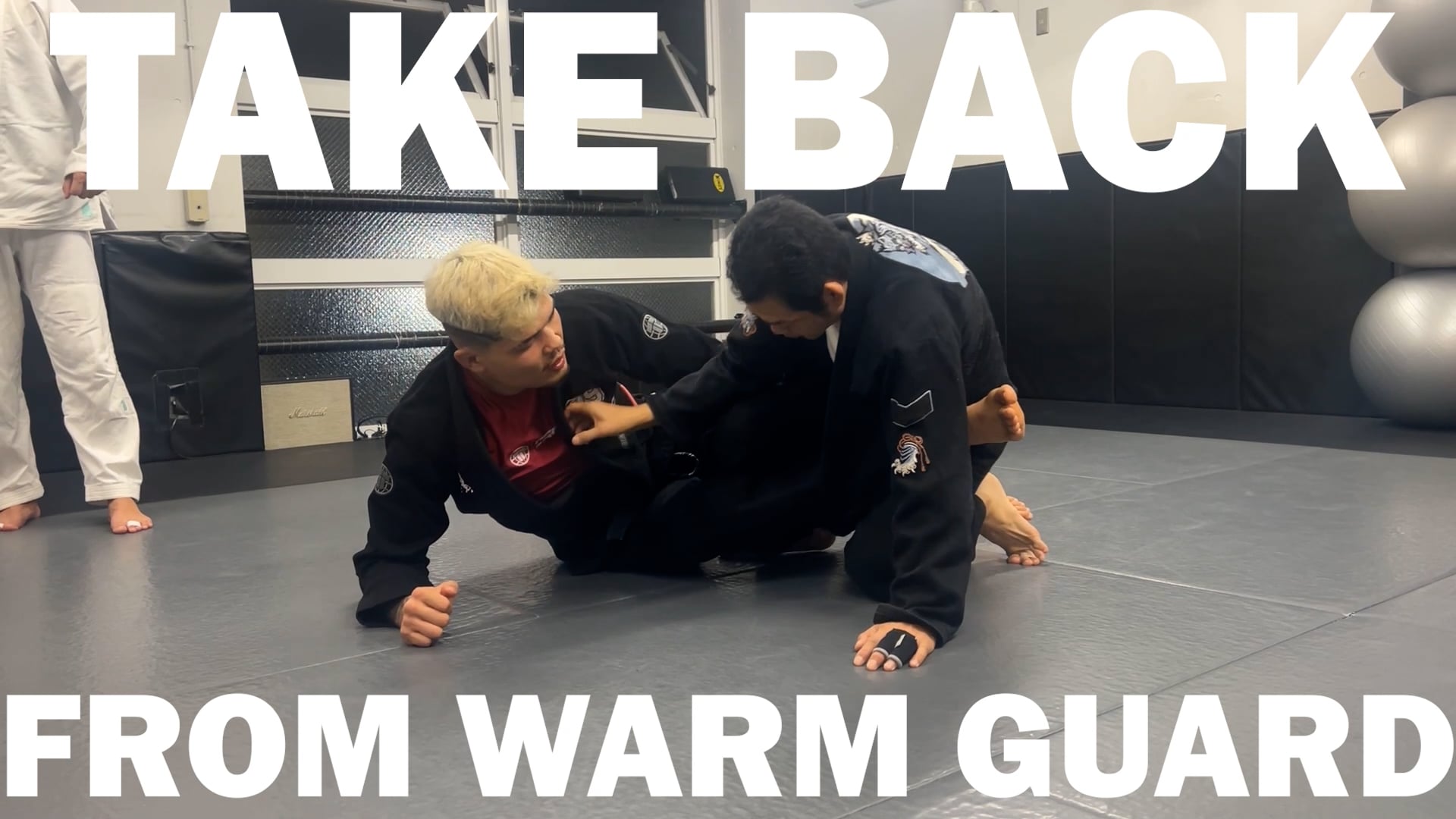 TAKE BACK FROM WARM GUARD/IGOR