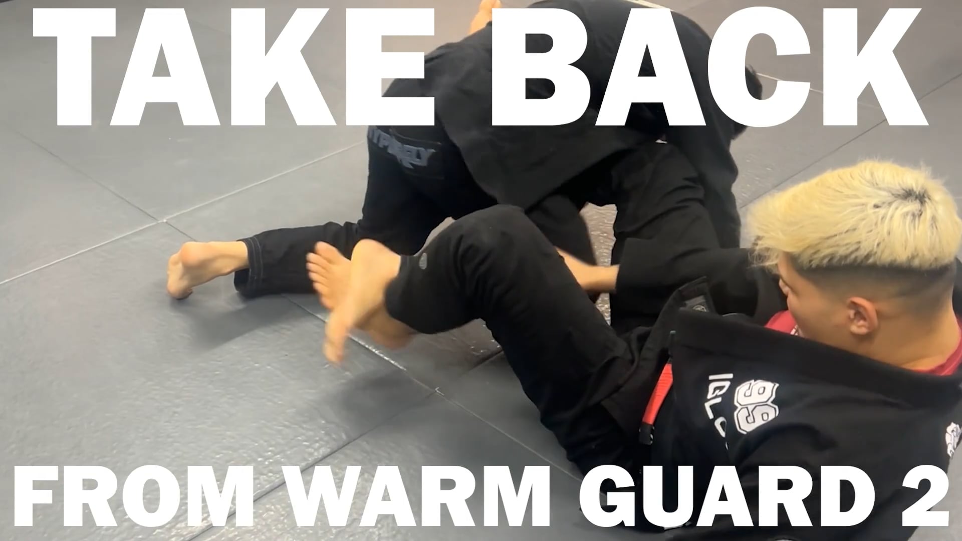 TAKE BACK FROM WARM GUARD2/IGOR TANABE