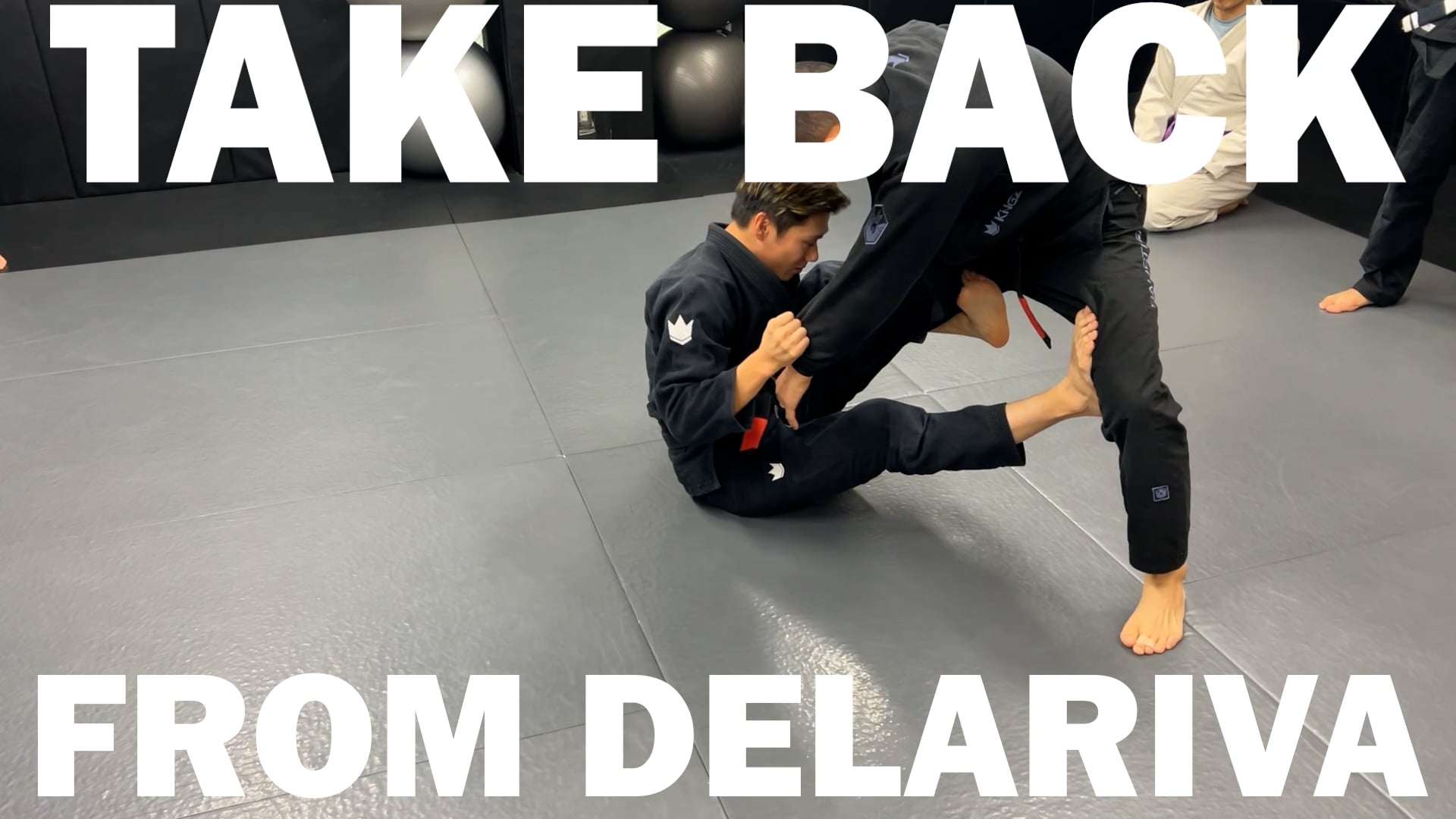 TAKE BACK FROM DELARIVA/HAKUTO YAMAMOTO